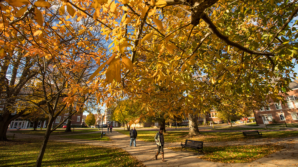 The Quad at PennWest California.