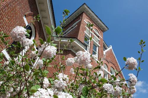 Flowers blooming on campus.